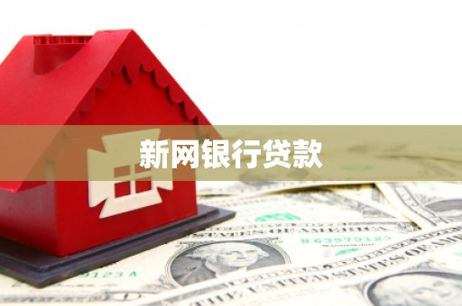 利辛新网银行贷款