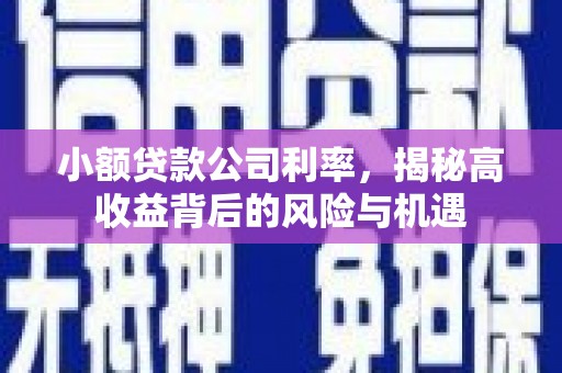 屯溪小额贷款公司利率，揭秘高收益背后的风险与机遇