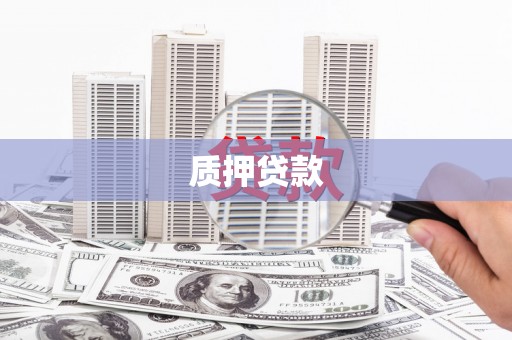 万全质押贷款