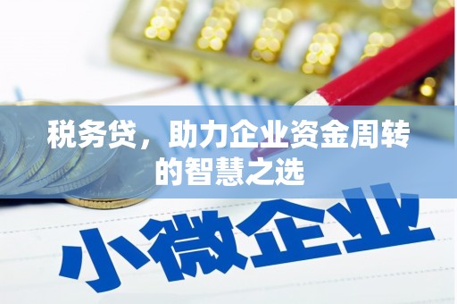 海东税务贷，助力企业资金周转的智慧之选