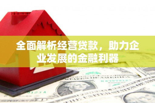 巴东全面解析经营贷款，助力企业发展的金融利器