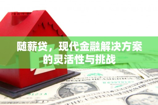 振兴随薪贷，现代金融解决方案的灵活性与挑战