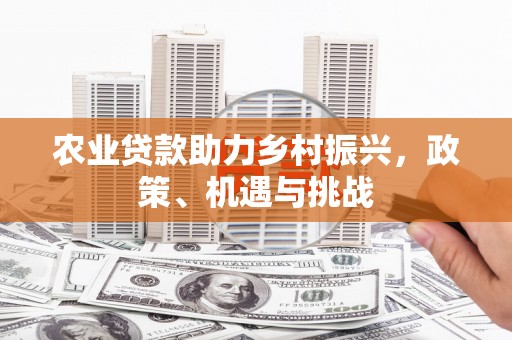 花地玛堂区农业贷款助力乡村振兴，政策、机遇与挑战