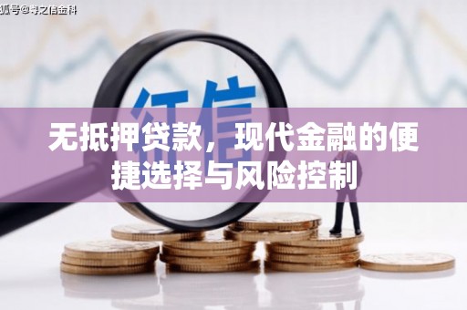 云和无抵押贷款，现代金融的便捷选择与风险控制