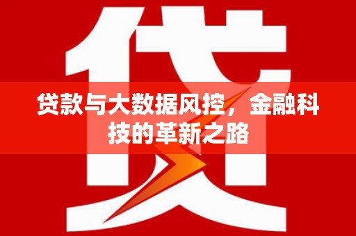 盖州贷款与大数据风控，金融科技的革新之路