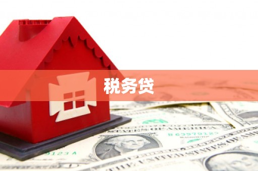 莎车税务贷