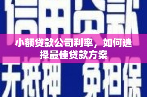 茂县小额贷款公司利率，如何选择最佳贷款方案