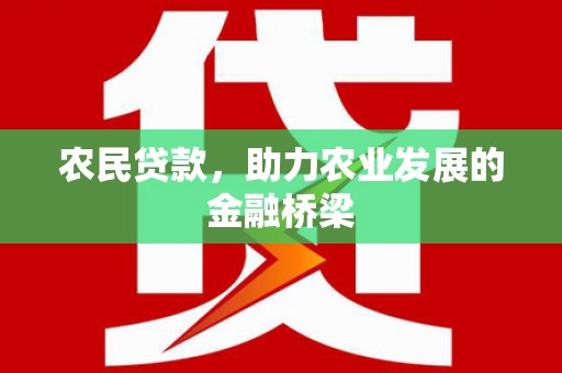 银川农民贷款，助力农业发展的金融桥梁
