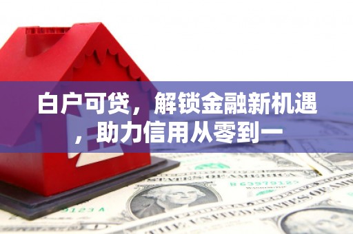 漳州白户可贷，解锁金融新机遇，助力信用从零到一