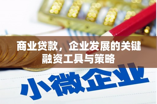 王益商业贷款，企业发展的关键融资工具与策略