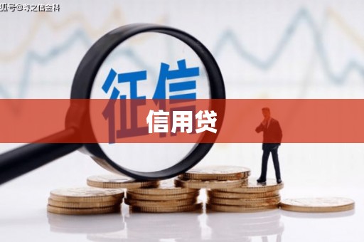 华龙信用贷
