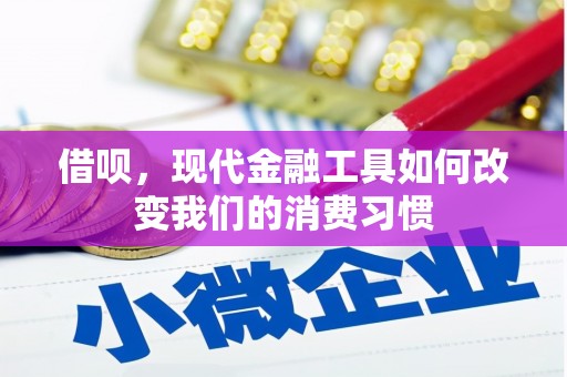 贾汪借呗，现代金融工具如何改变我们的消费习惯