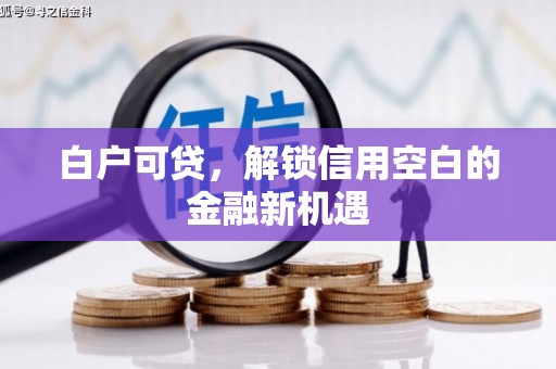 弋江白户可贷，解锁信用空白的金融新机遇
