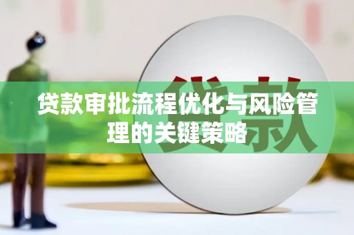 丰满贷款审批流程优化与风险管理的关键策略