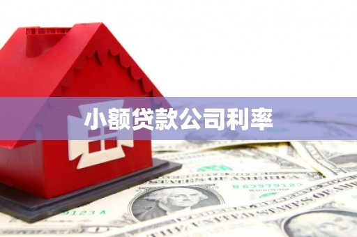 石鼓小额贷款公司利率