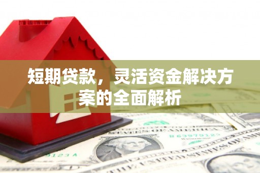 镇原短期贷款，灵活资金解决方案的全面解析