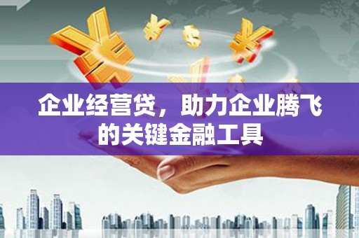 内埔企业经营贷，助力企业腾飞的关键金融工具