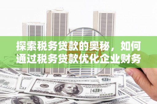 岑巩探索税务贷款的奥秘，如何通过税务贷款优化企业财务