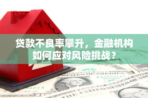 兰西贷款不良率攀升，金融机构如何应对风险挑战？