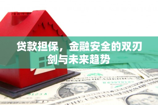 中国香港贷款担保，金融安全的双刃剑与未来趋势