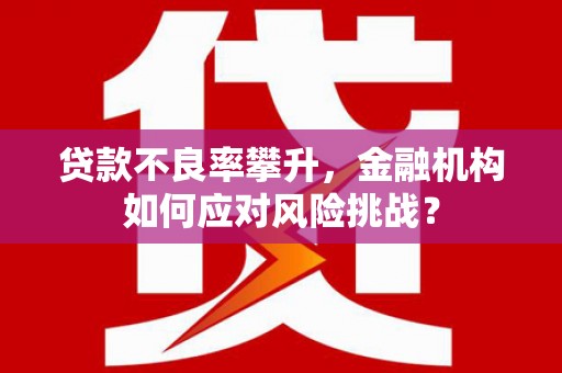 岳塘贷款不良率攀升，金融机构如何应对风险挑战？