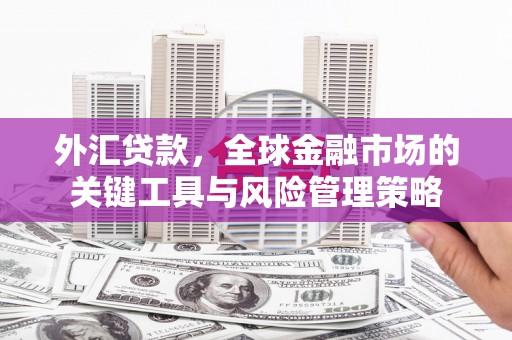 福建外汇贷款，全球金融市场的关键工具与风险管理策略