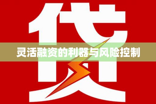 沈北新区灵活融资的利器与风险控制