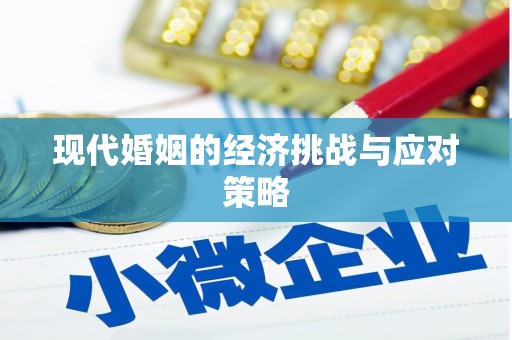 南州现代婚姻的经济挑战与应对策略