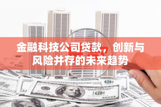 中国香港金融科技公司贷款，创新与风险并存的未来趋势
