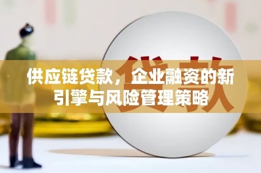 罗定供应链贷款，企业融资的新引擎与风险管理策略