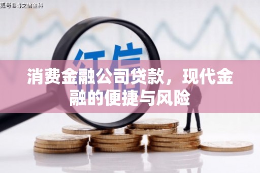 荔湾消费金融公司贷款，现代金融的便捷与风险