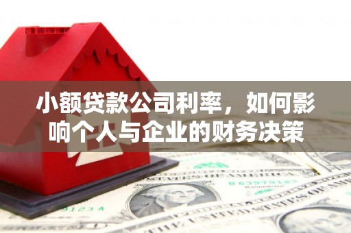 头屋小额贷款公司利率，如何影响个人与企业的财务决策