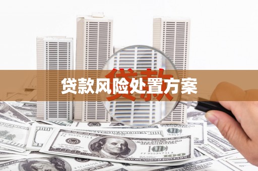 绥芬河贷款风险处置方案