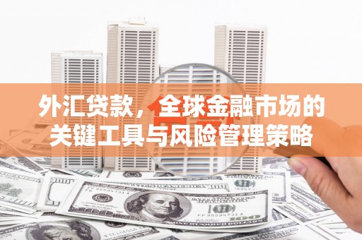 伊吾外汇贷款，全球金融市场的关键工具与风险管理策略