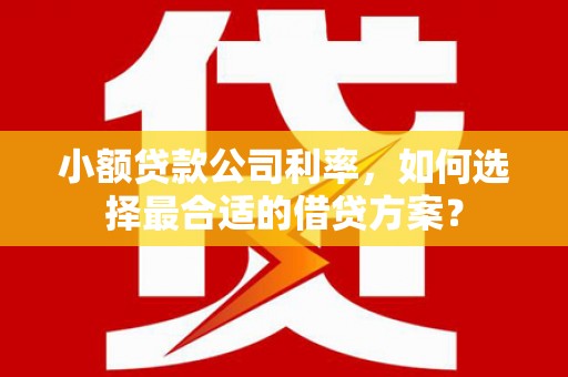 鼎城小额贷款公司利率，如何选择最合适的借贷方案？