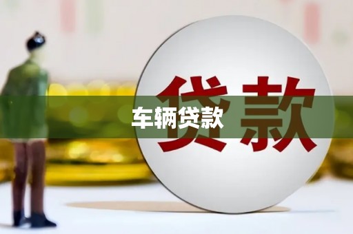 中区车辆贷款
