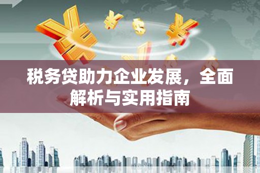 米易税务贷助力企业发展，全面解析与实用指南