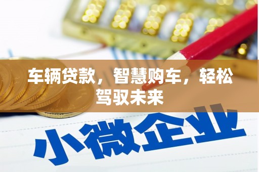 沈丘车辆贷款，智慧购车，轻松驾驭未来
