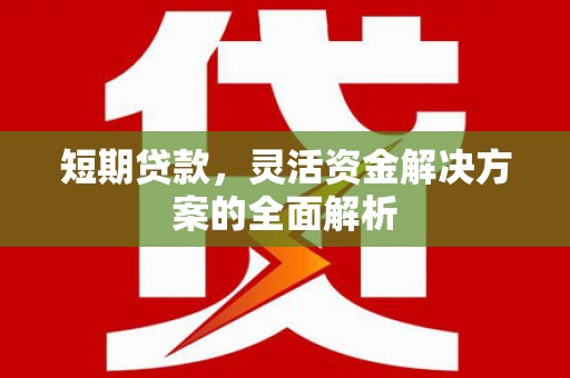 古田短期贷款，灵活资金解决方案的全面解析