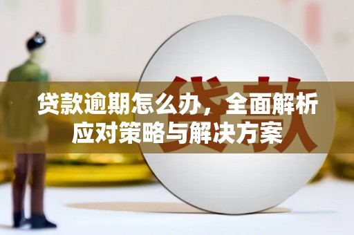 茂林贷款逾期怎么办，全面解析应对策略与解决方案