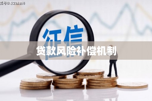 卢氏贷款风险补偿机制