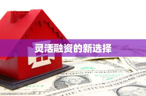 石家庄灵活融资的新选择