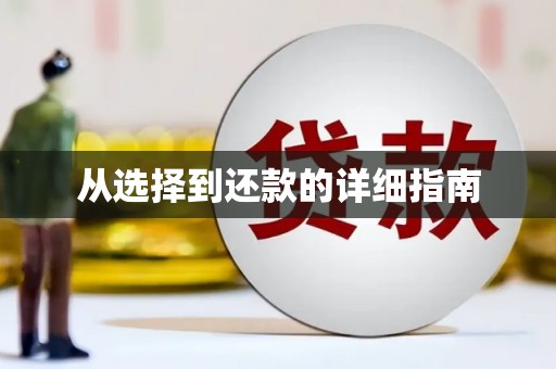 金寨从选择到还款的详细指南