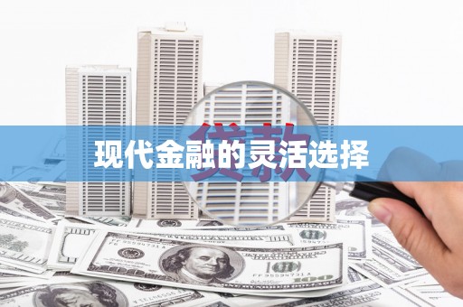 郸城现代金融的灵活选择