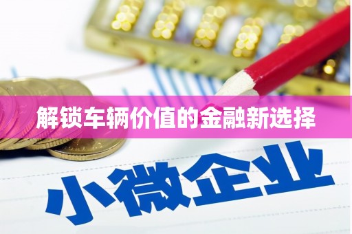 洛扎解锁车辆价值的金融新选择