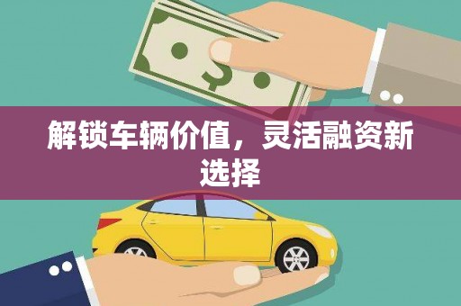 镇平解锁车辆价值，灵活融资新选择