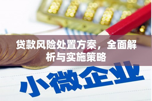 阳谷贷款风险处置方案，全面解析与实施策略