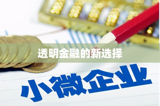 兴国透明金融的新选择