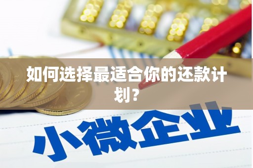 丰顺如何选择最适合你的还款计划？