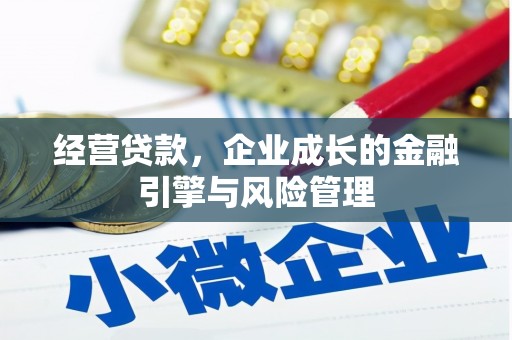迪庆经营贷款，企业成长的金融引擎与风险管理